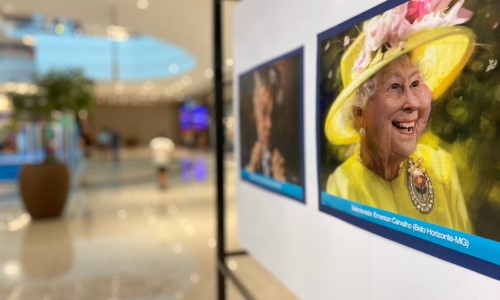 Salão do Humor de Volta Redonda entra em cartaz no shopping Park Sul